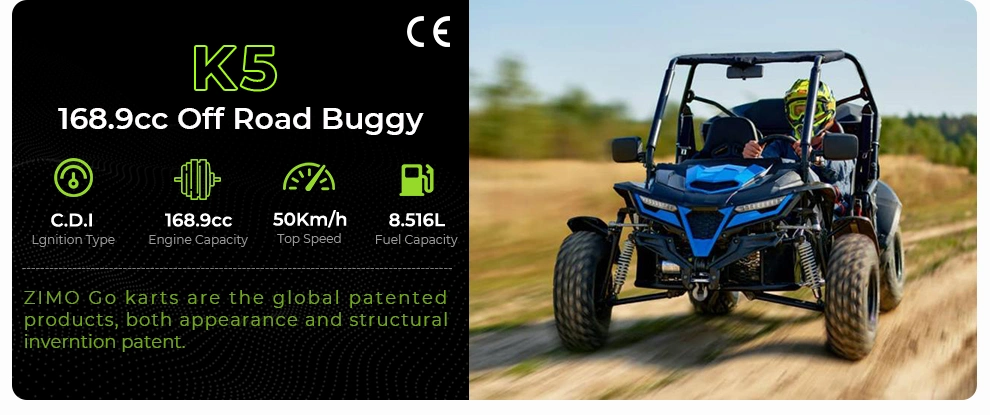 2024 Off Road Hunting Gasoline Buggy 72V Lithium Battery 6 Seater 10Kw Club Car 4X4 Electric Golf Cart for sale