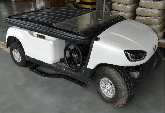 China Made Battery Operated 2 4 6 Seater Classic Golf Cart with Large Storage Compartments