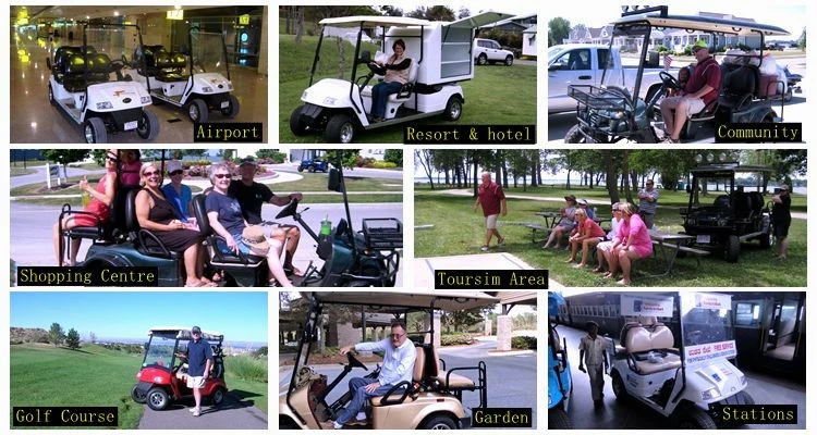 Black 48V Electric Club Carts 2 4 6 8 Seats Golf Carts