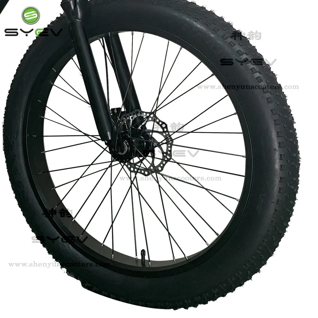 China Shenyun Factory Top Sale High Speed Aluminum Alloy 26&quot; Fat Tyre Electric Bike for Youth