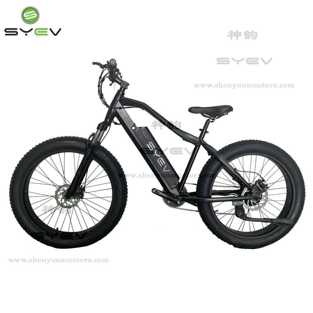 China Shenyun Factory Top Sale High Speed Aluminum Alloy 26&quot; Fat Tyre Electric Bike for Youth