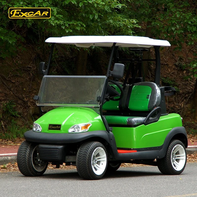 New 2 People Electric Mini Golf Cart