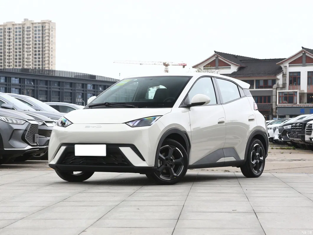 Customized Hatchback Adult Automobiles Pure EV Byd Dolphin Small Electric Cars 405km Version Ranges 150km/H Electric Vehicle