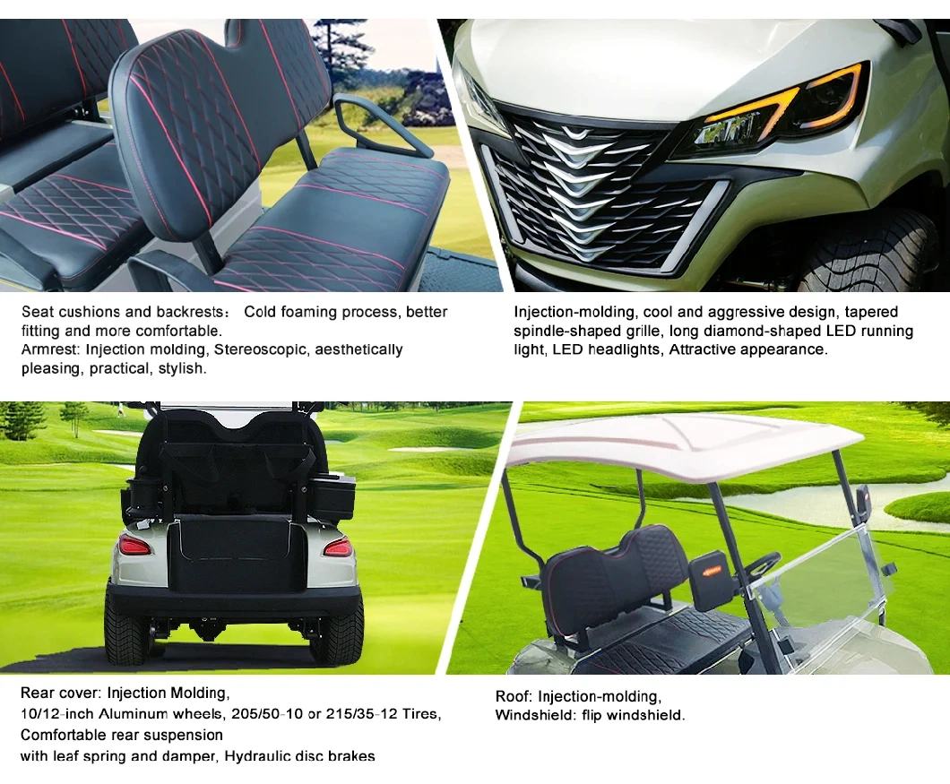 Raysince 2024 Latest Model Electric Golf Cart for Sale
