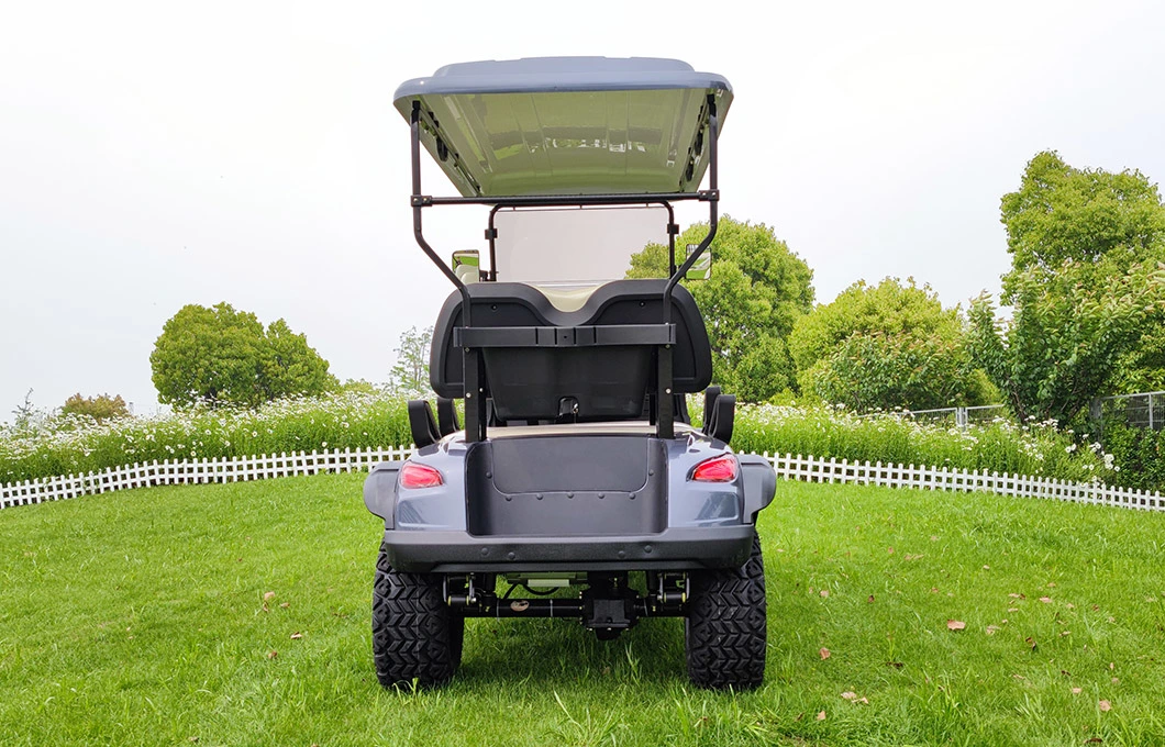 Lsv 4 Seat Electric Lifted Golf Cart with Air Conditioner