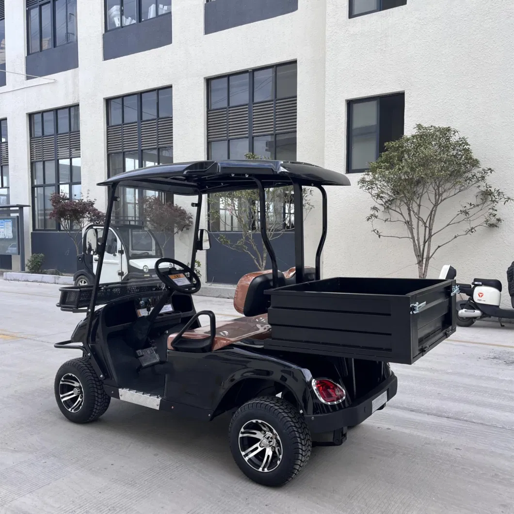 2 Seats Utility Golf Carts Street Legal Golf Electric Cart with Cargo Bed