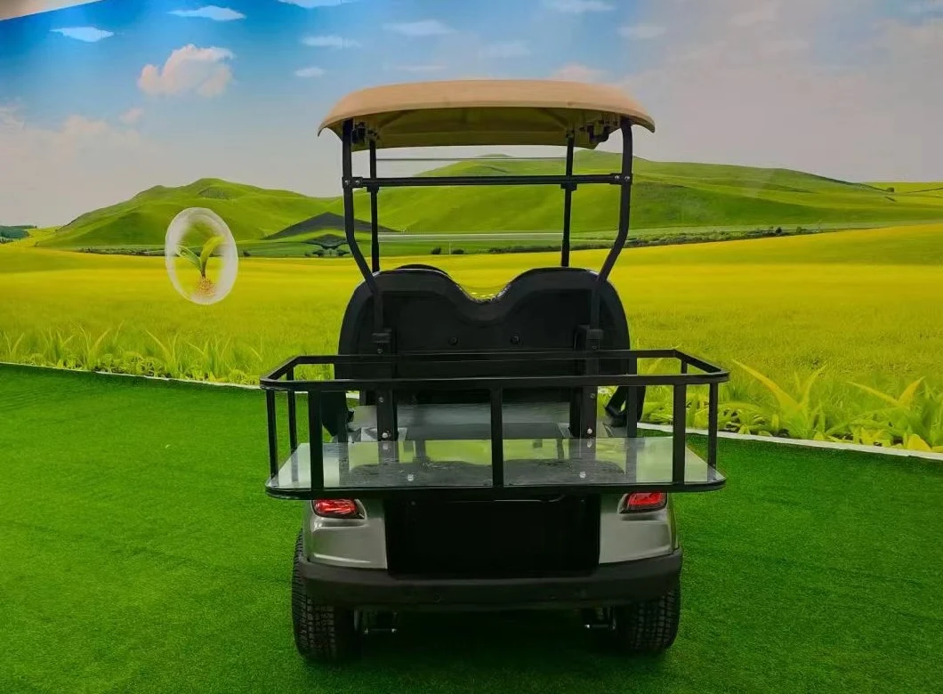 Utility Personal 2 Seats Street Legal Golf Cart with Low Price Golf Buggy Golf Club
