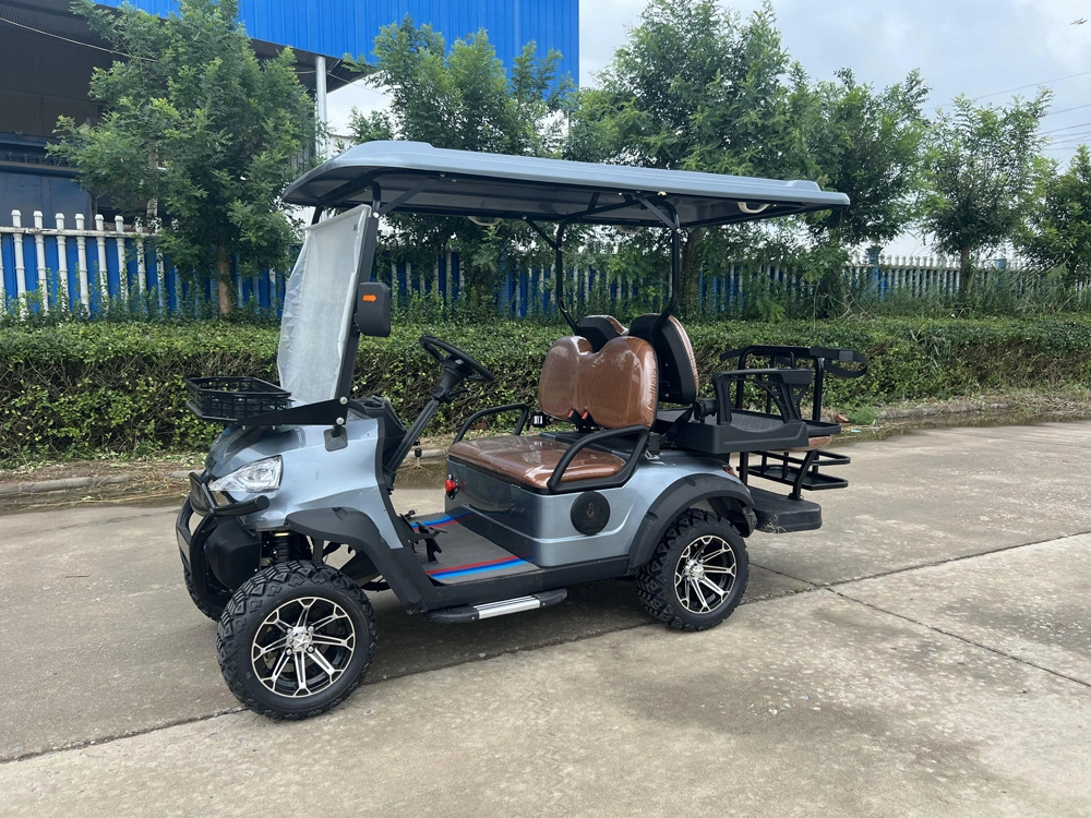 Custom Color Logo Battery Operated 4 Wheel Buggy 4 Seats Seater Hunting Buggy Small Golf Go Car Electric Mini Cart with AC Motor