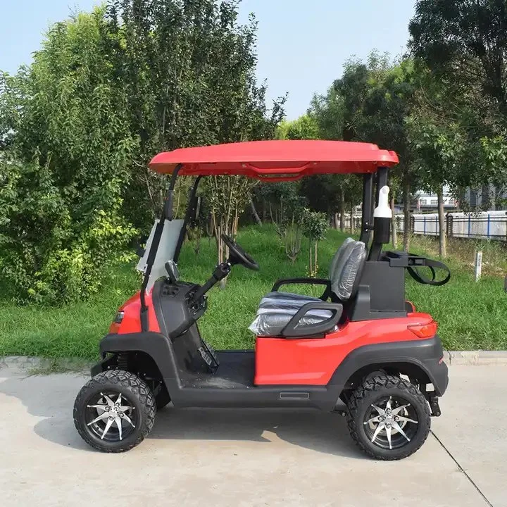 2400*1190*1800mm 48V Packed and Loaded by Container Gas Golf Cart Lsv