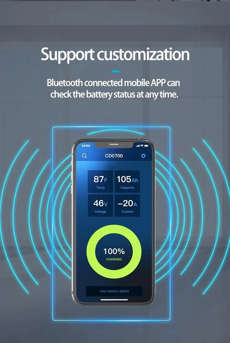 ODM&OEM LiFePO4 Battery 12V 100ah 200ah 300ah for Electric Car Agv RV Marine Golf Cart Home Energy Solar Storage with Bluetooth APP