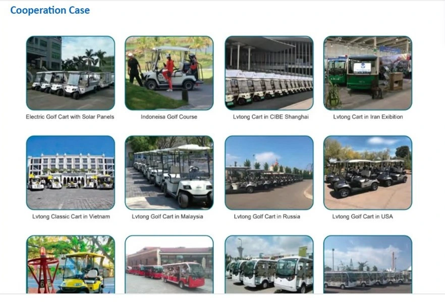 Cheapest Golf Cart/Star Golf Carts/Golf Cart Chargers/Golfcart Electric