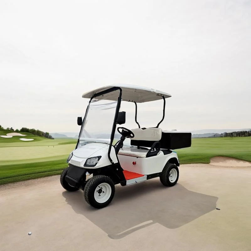 Wholesale 2 Seats Golf Carts with Rear Cargo Box for Club Car Sales