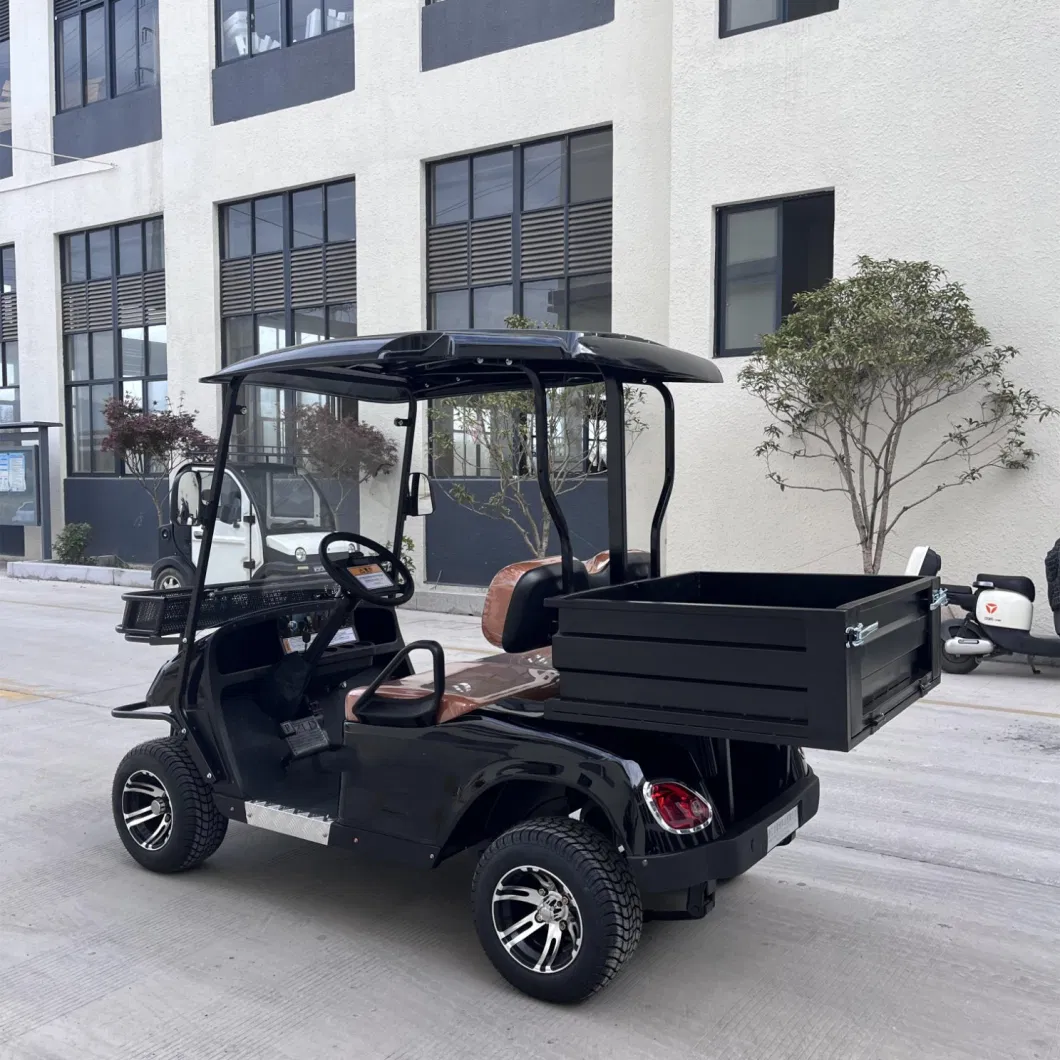 2 Seats Utility Golf Carts 72V Electric Turf Utility Vehicle for Sale