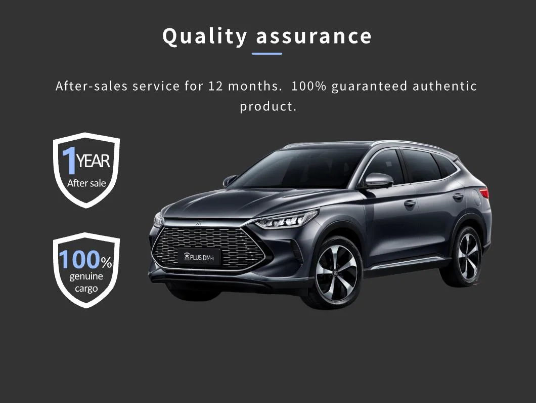 Most Reliable Best Selling Electric Utility Vehicle Yuan Plus