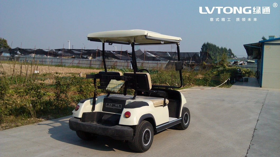 2 Seater Golf Buggy Street Legal Electric Car for Sale