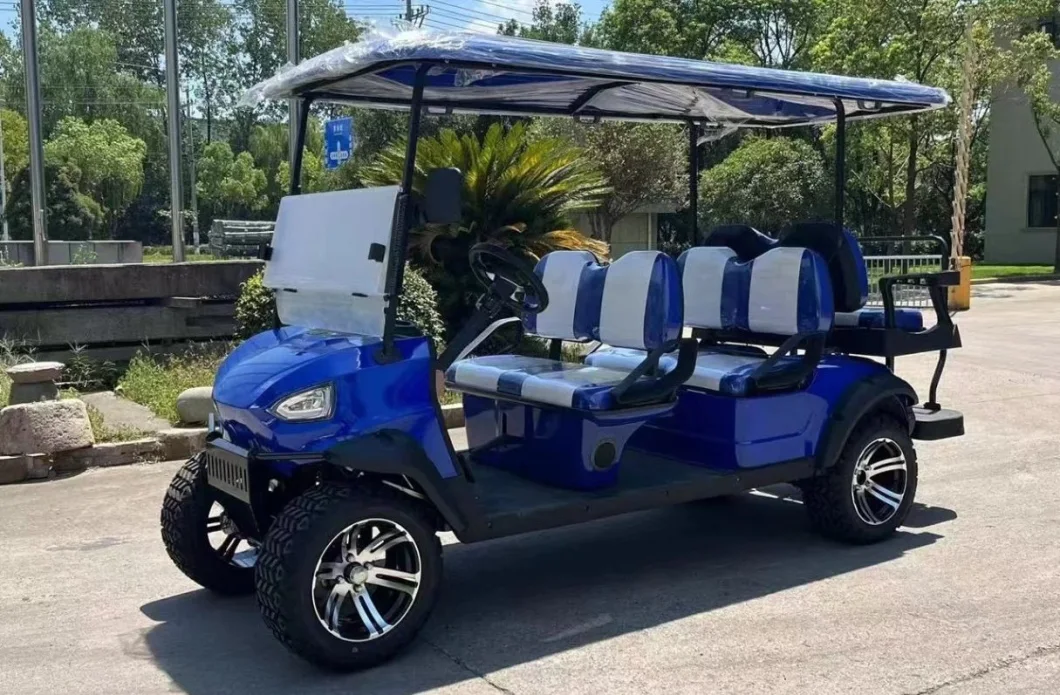 Custom 4 6 8 10 Seater Lithium Batteries Folding Golf Carts Electric Golf Cart