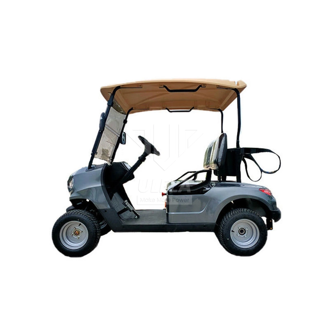 Ulela Aetric Golf Cart Dealers Rear Wheel Drive Self Following Golf Cart China 2 Seater AC Motor Golf Cart