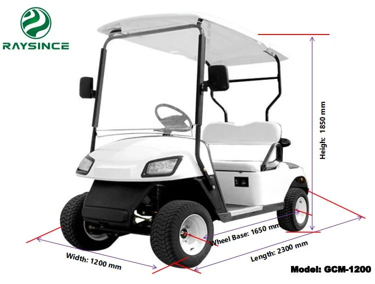 Superior Quality Classic Electric Vehicle Golf Cart with 2 Seats