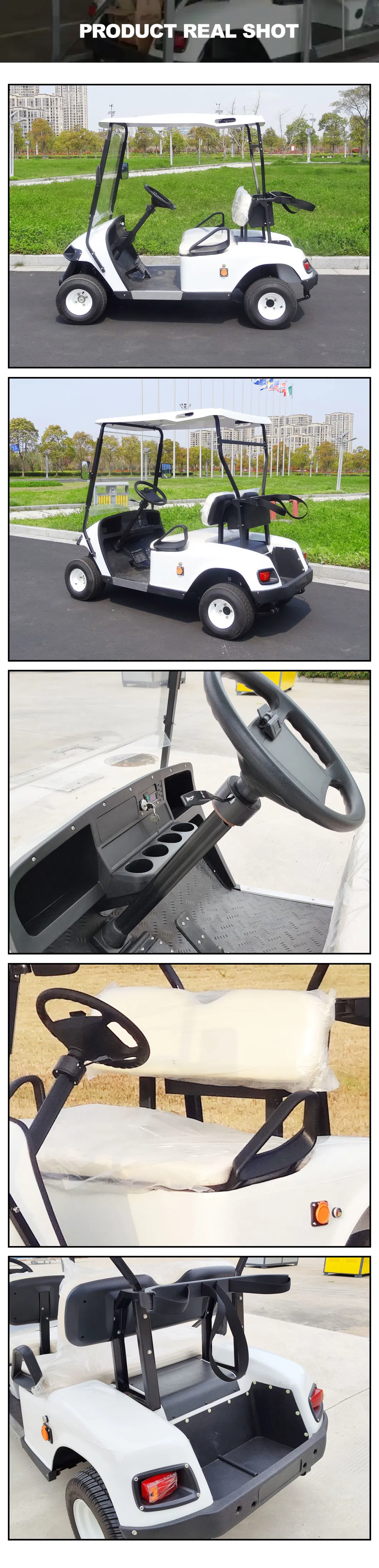 Custom Adult Elite Fancy Mini 2 Seaters Electric Custom Golf Carts for Sale with Lithium Battery Powered