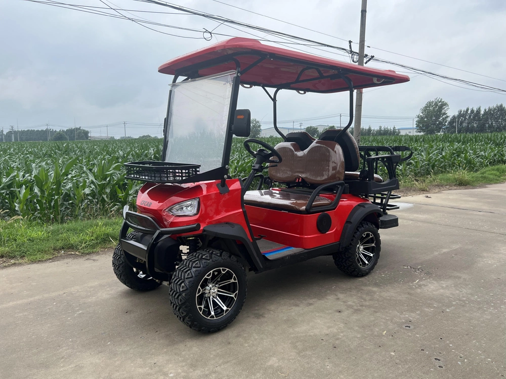 Custom Color Logo Battery Operated 4 Wheel Buggy 4 Seats Seater Hunting Buggy Small Golf Go Car Electric Mini Cart with AC Motor