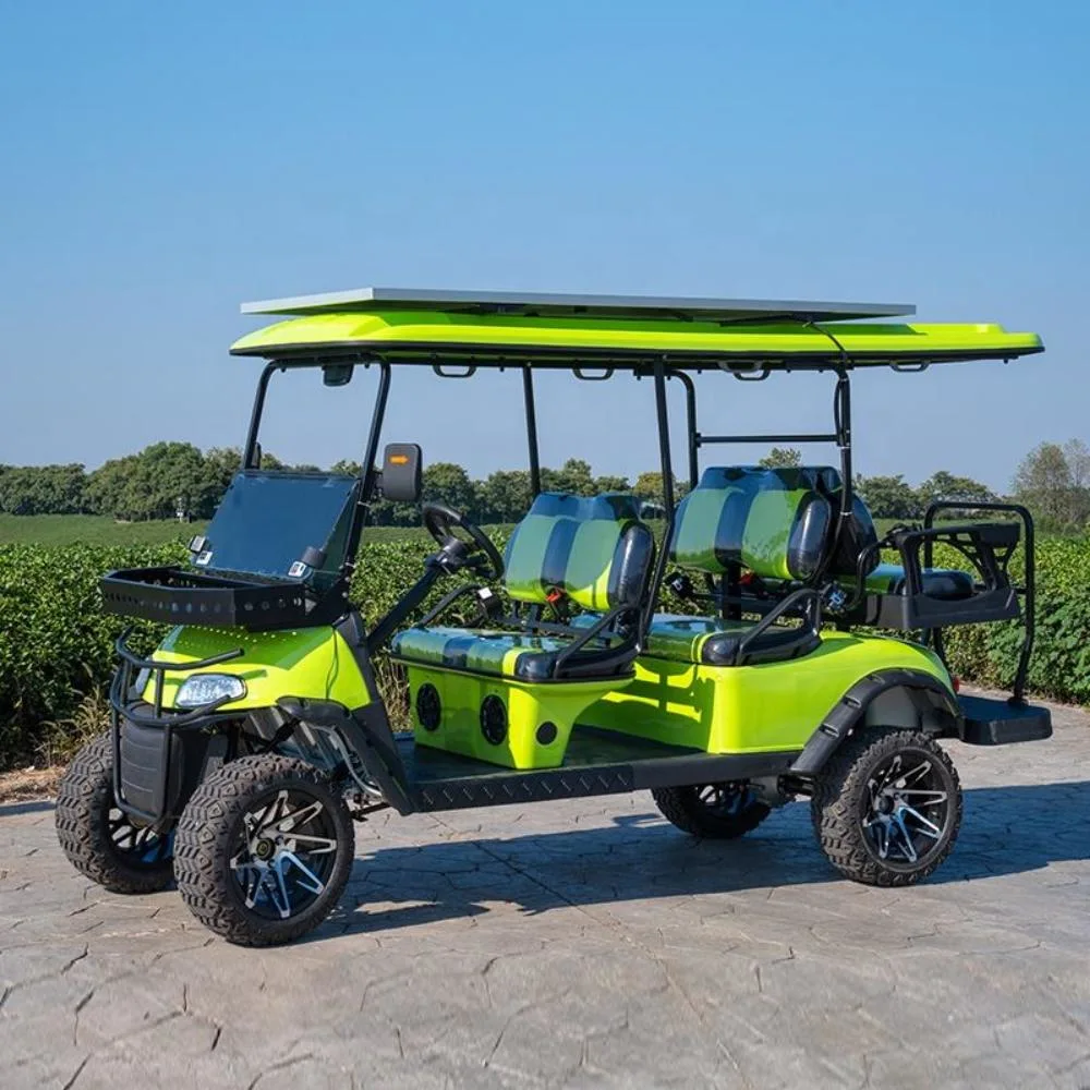 Personal 2 Seater Street Legal Golf Cart with Low Price