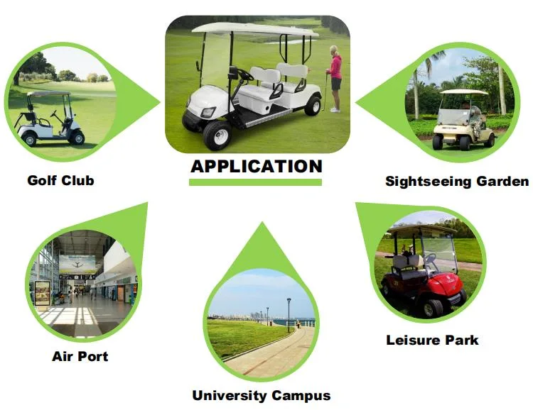 Wholesale Supplier High Quality Customized Electric Golf Carts Trolley