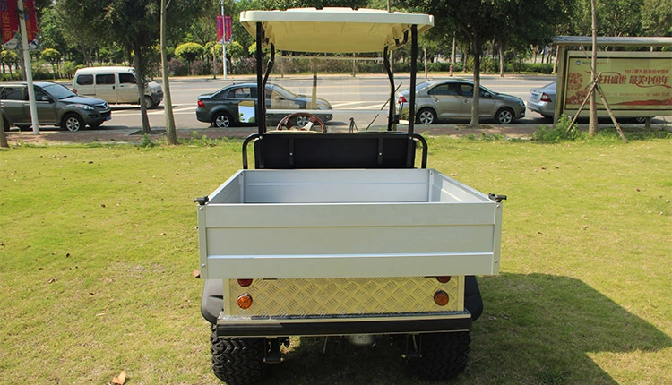 2-Seater Golf Electric Utility Vehicle with Cargo Box Mini Truck