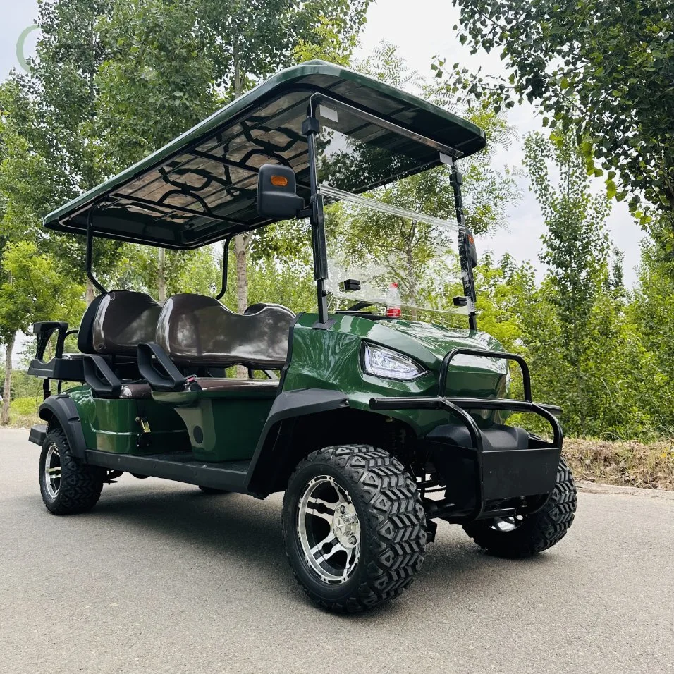 Factory Price 2+2 Seater Gas Electric Golf Cart with Lead-Acid Battery and Lithium Battery