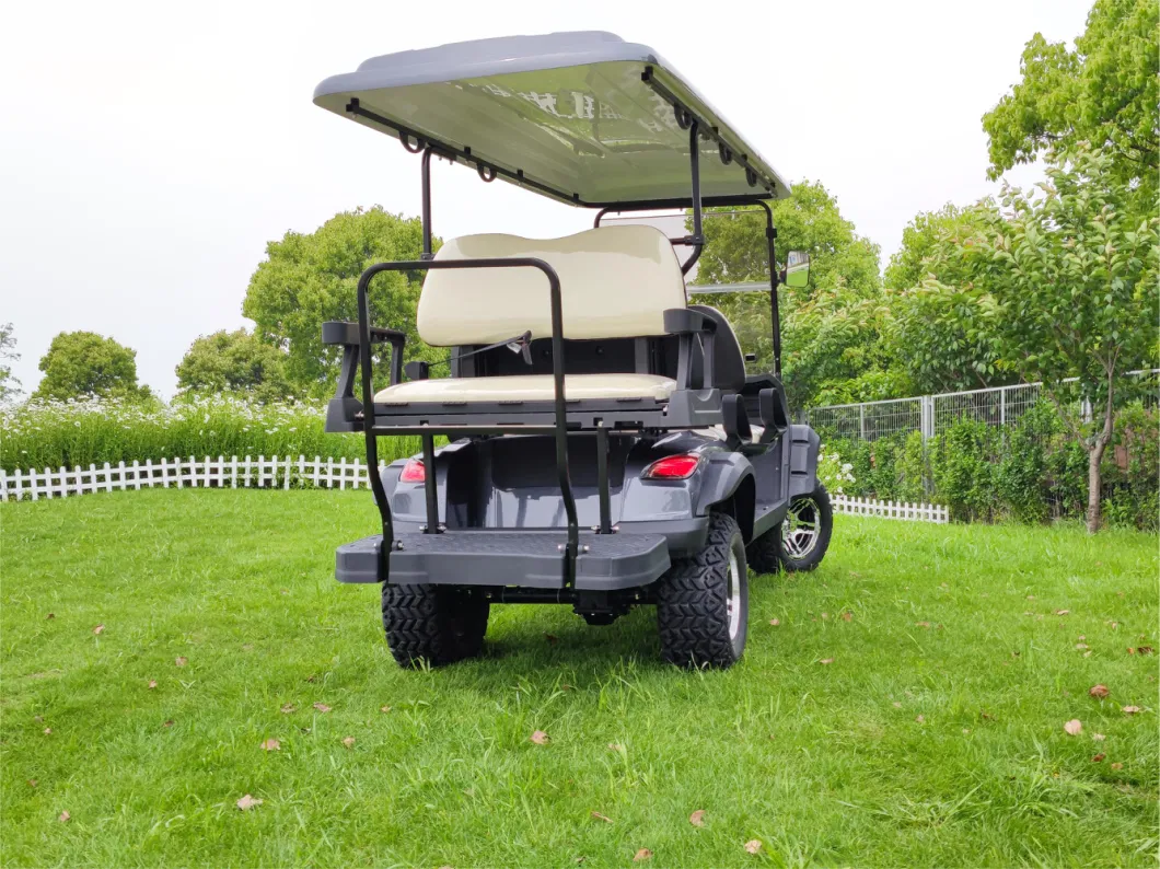 Wintao Custom Lithium Battery Electric Golf Cart Mini Golf Buggy