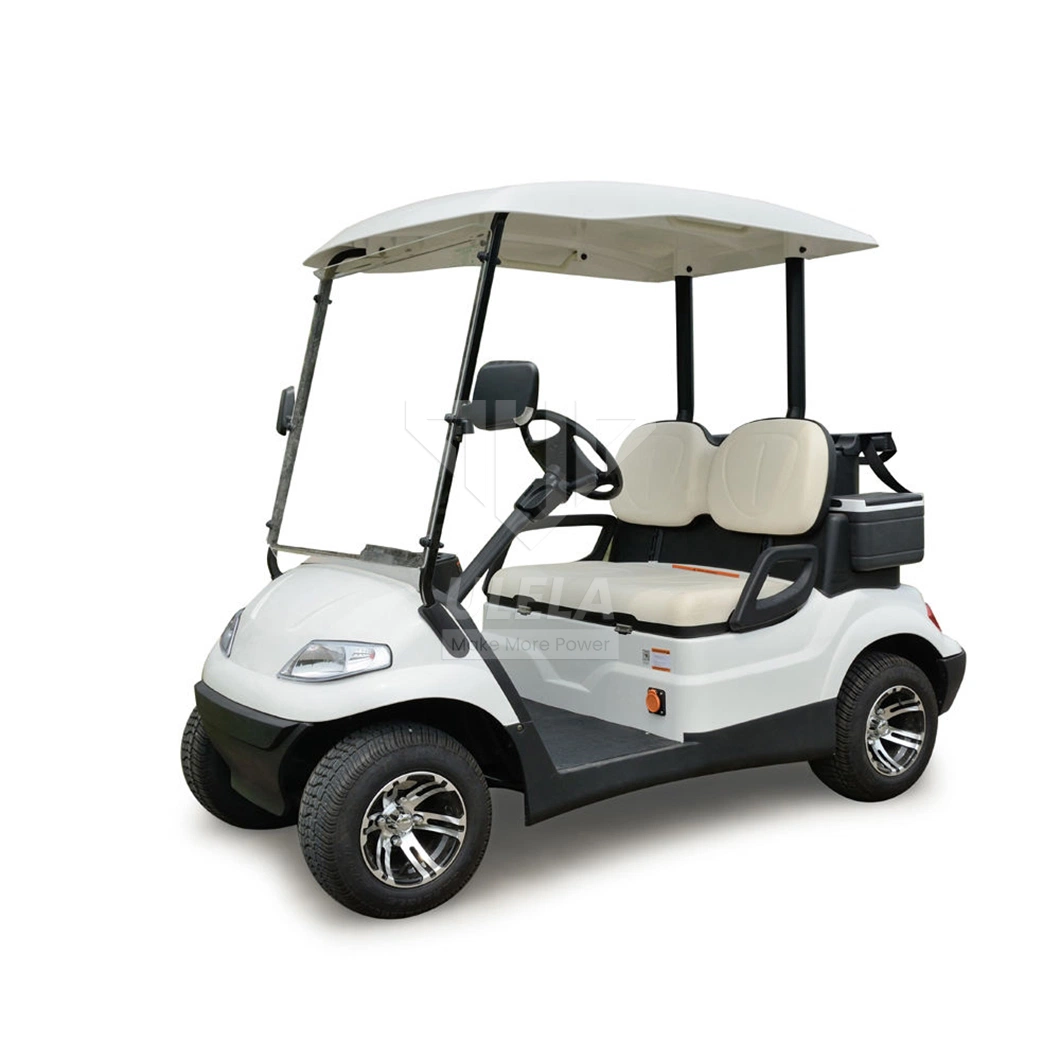 Ulela Epic Golf Cart Dealers Steel Frame Golf Carts Green 2 Seater China 2 Seater Battery Operated Golf Carts