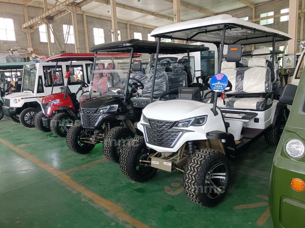 4 Wheel Electric Hunting Club Street Legal Utility Vehicle Car Electric Lithium Pool Tourist Sightseeing Car 2+2 Seater Golf Cart