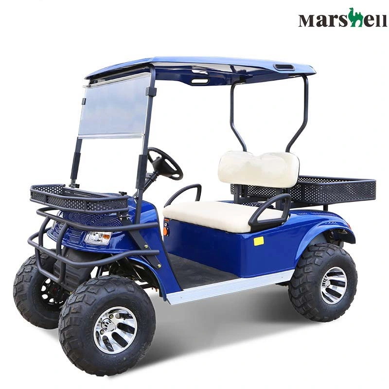 China Manufacturer Marshell Utility Vehicle 2 Seater Electric Golf Buggy (DH-C2)