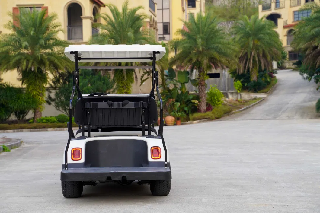 China Made Battery Operated 2 4 6 Seater Classic Golf Cart with Large Storage Compartments