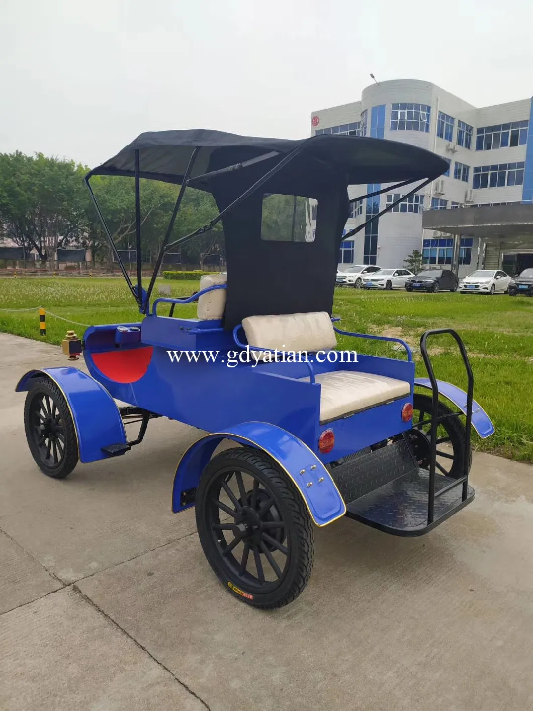 Custom Electric Vintage 4 Seats Golf Carts with Back Seat for Sale with Ce Certification