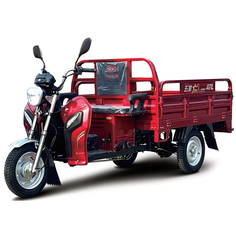 2024 2023 China New Human Tricycle Loader Cargo Tricycle 3 Wheeled Motorcycle Agricultural Tricycle Motor Trike Electric Vehicle with Good Price