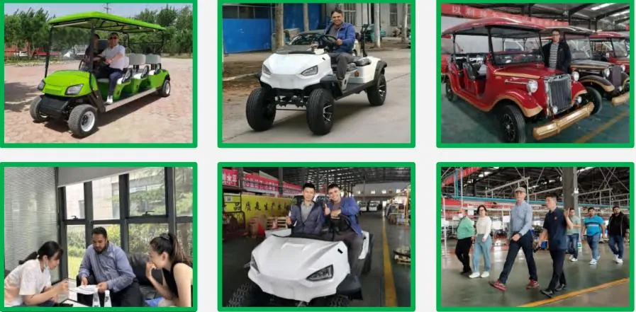 Raysince CE Approved Golf Electric Car Low Price Electric Golf Carts with 6 Seats