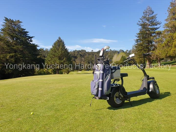 Golf Cruiser Fat Tire Tricycle Golf Course Scooter CE Standard Electric Golf Kart