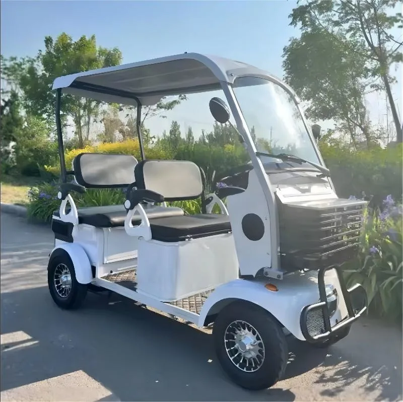 3/4 Seater 800W 60V/72V Electric Mini Bus 23ah Golf Mini 4 Wheel Electric Car