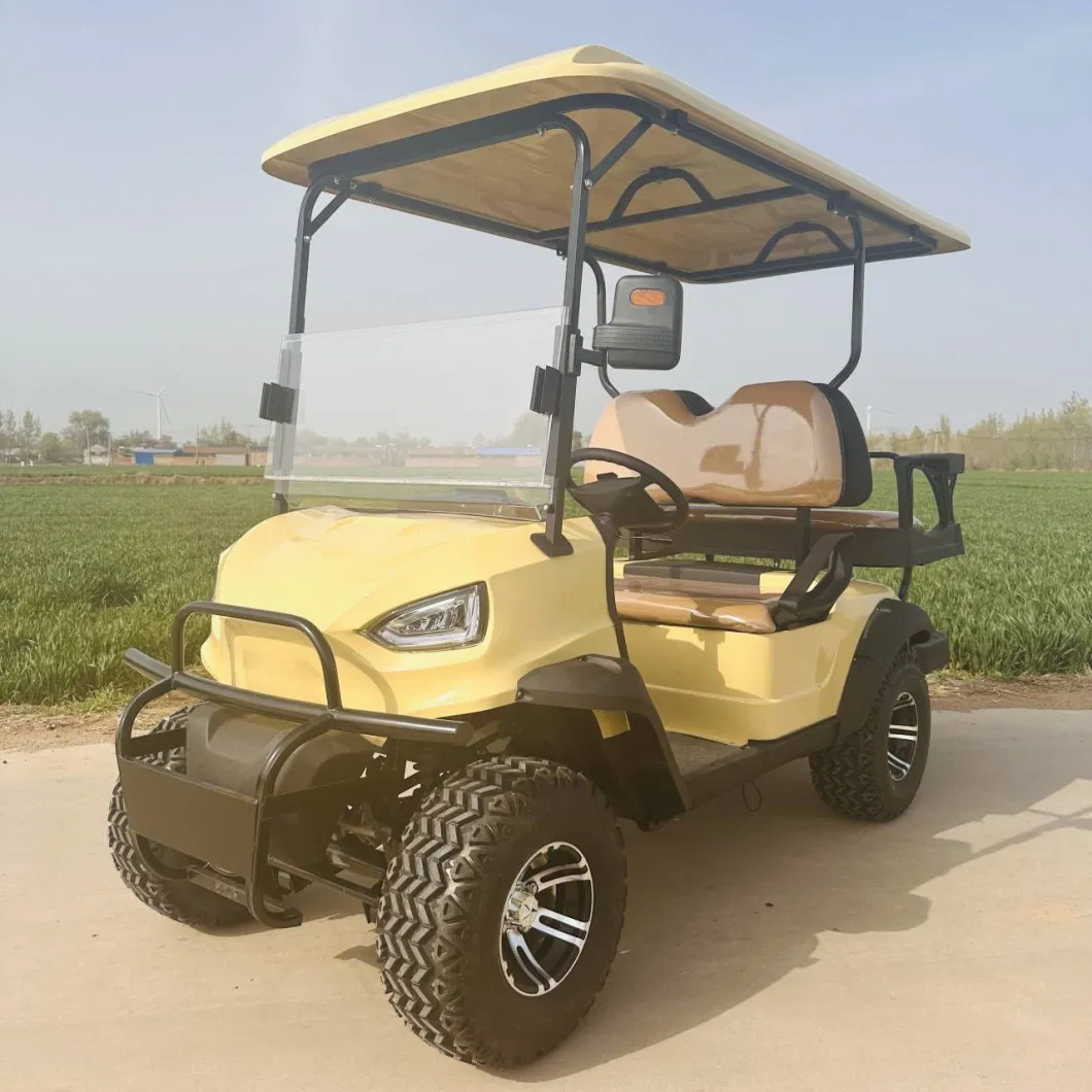 Electric Power Sightseeing Bus Western Style 2 Seat Golf Cart