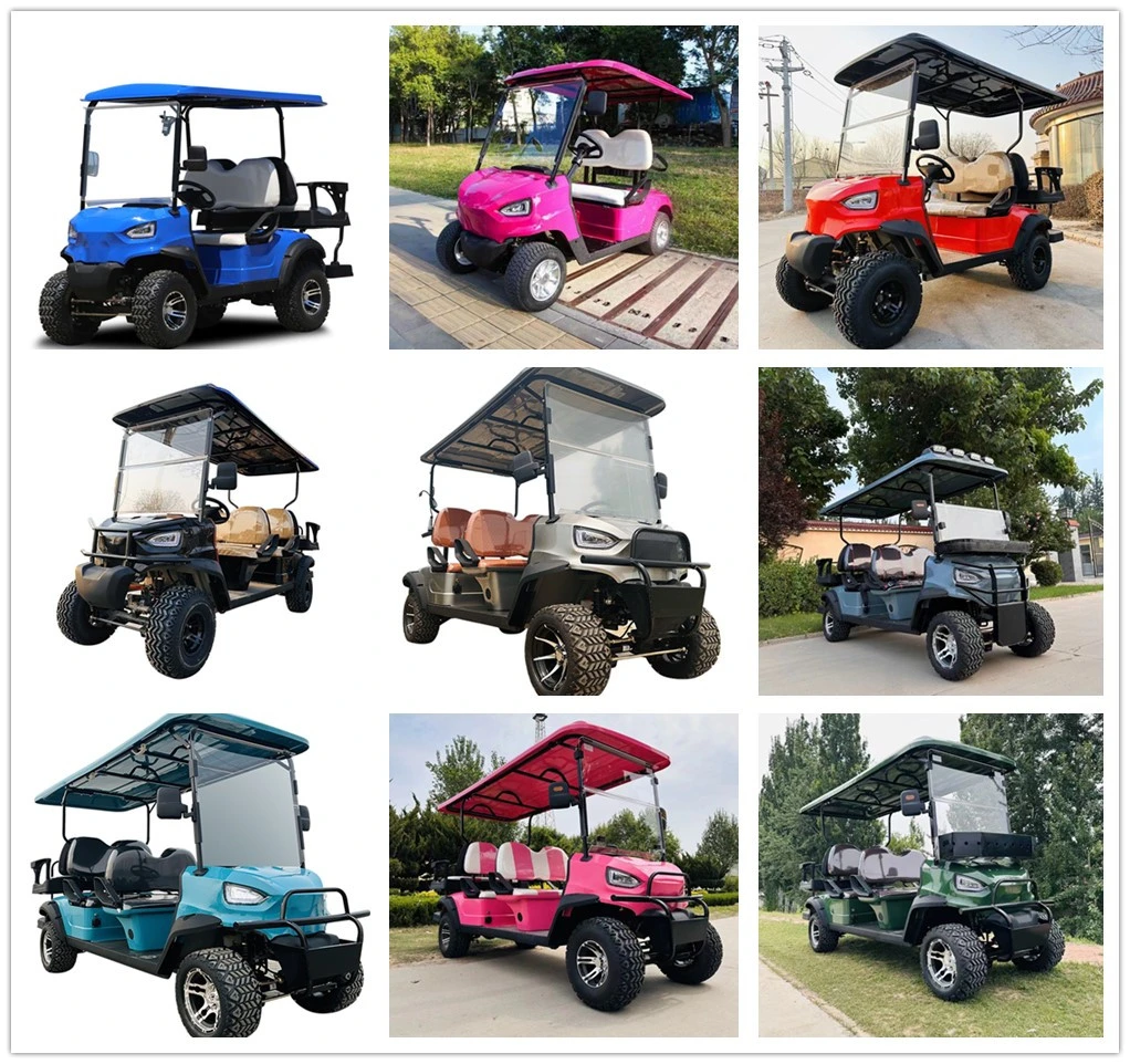 New Product Mini Golf Cart 48V 60V Custom Electric off Road Golf Carts for Dealer