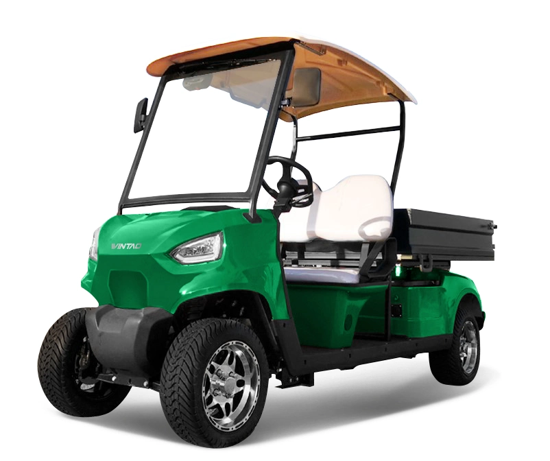 Standard Electric Convenient Fast 2 Passenger Golf Cart with Cargo