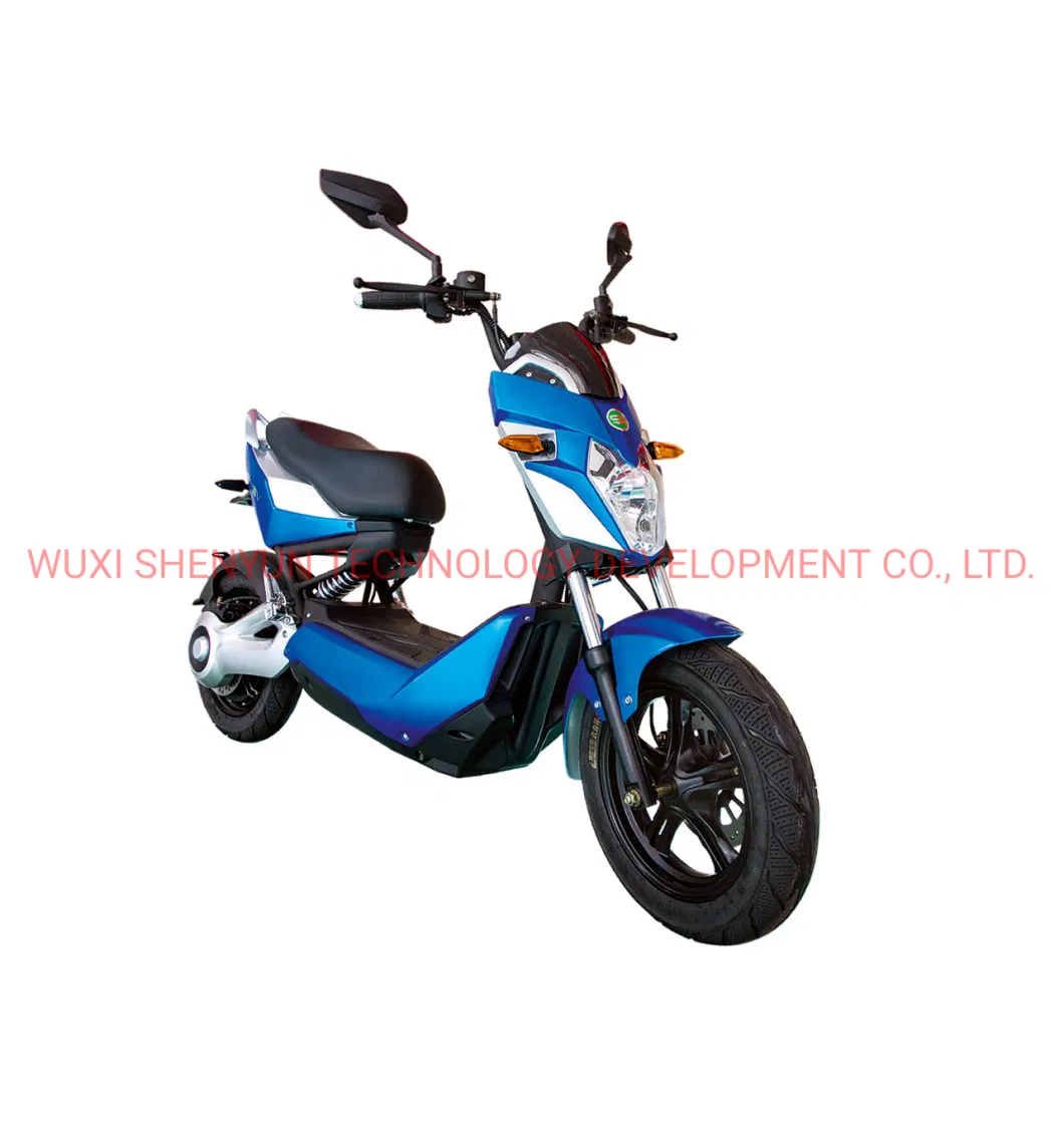 Top Sale Stylish 50km/H High Speed and High Performance Steel Electric Motorcycle for Youth