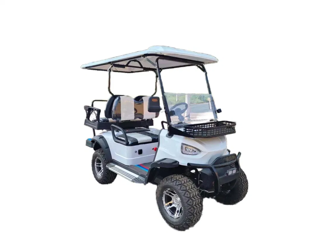 New Product Mini Golf Cart 48V 60V Custom Electric off Road Golf Carts for Dealer