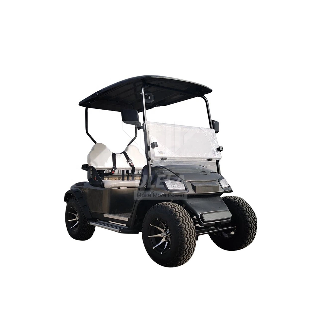 Ulela Aetric Golf Cart Dealers Rear Wheel Drive Self Following Golf Cart China 2 Seater AC Motor Golf Cart