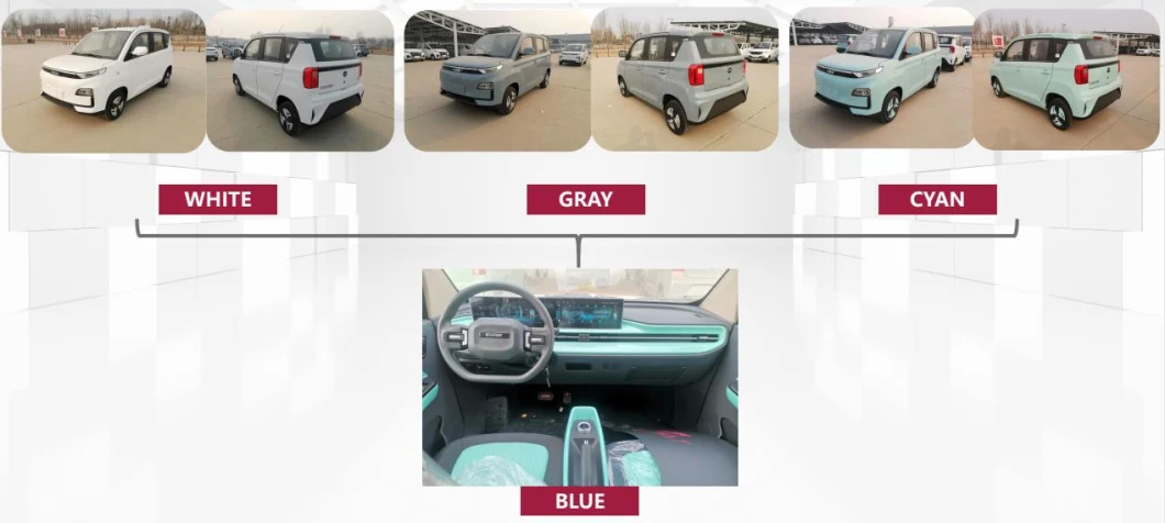 Bev Car High Speed EV BAW Brumby Luxury Electric Vehicle Wholesale Mini Electric Car for Adults