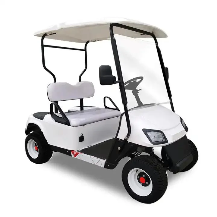 2400*1190*1800mm 48V Packed and Loaded by Container Gas Golf Cart Lsv