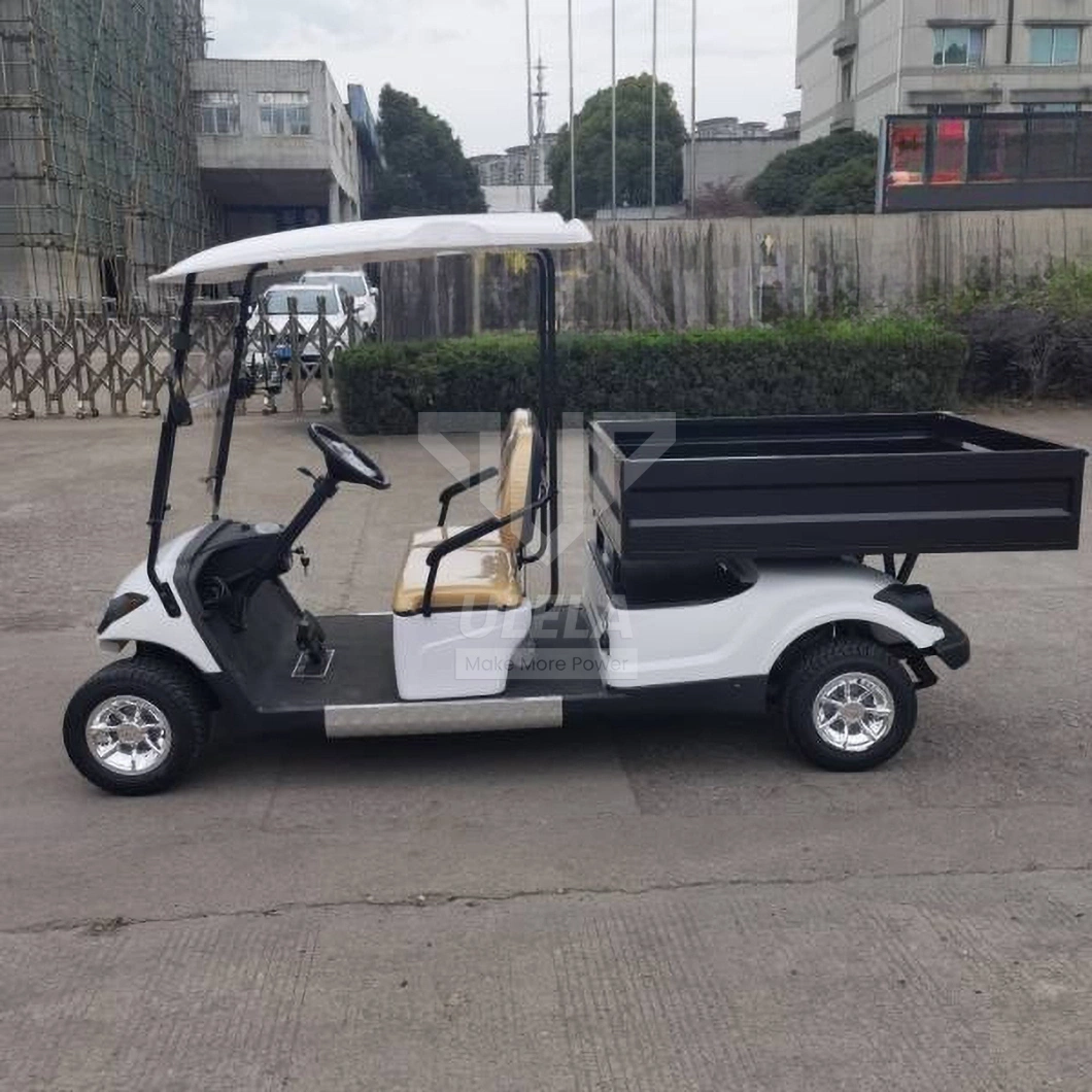 Ulela Aetric Golf Cart Dealers Electromagnetic Brake Electric 4 Person Golf Cart China 2 Seater Lifted EV Golf Cart