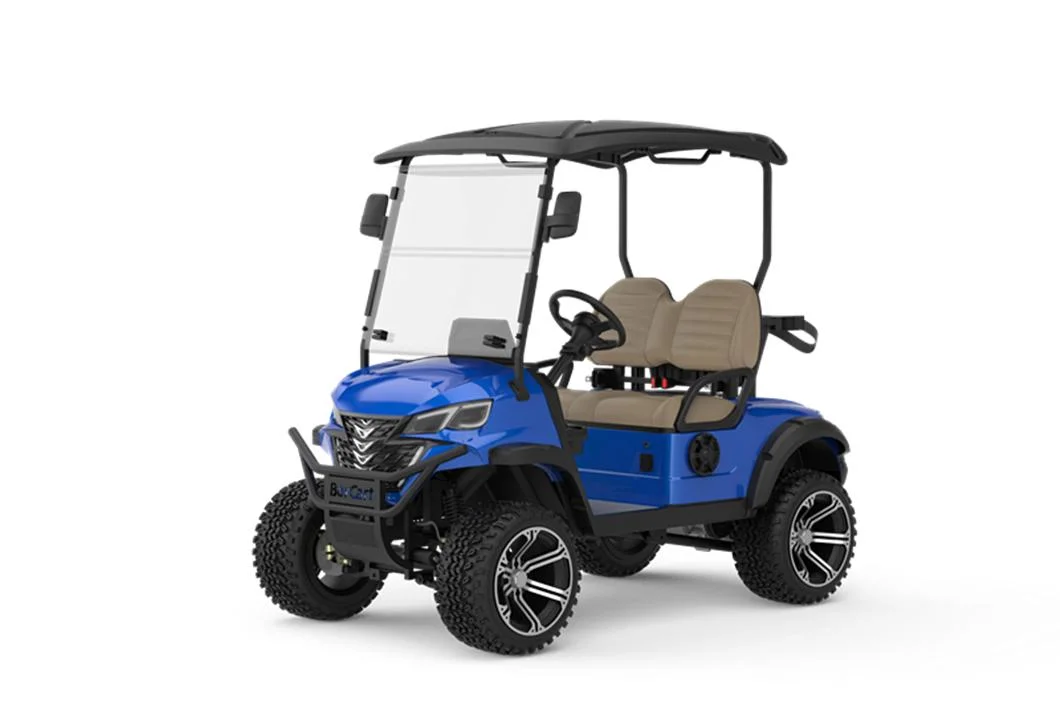 CE Approved Factory Price 2 Person Electric Golf Cart for Sale Golf Electric Kart