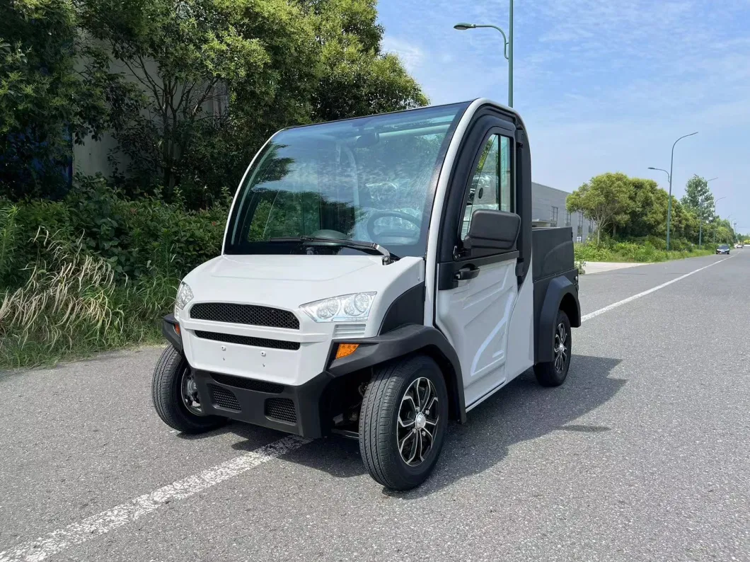 Utility Electric Mini Pickup Cargo Truck with Plastic Cargo Bed