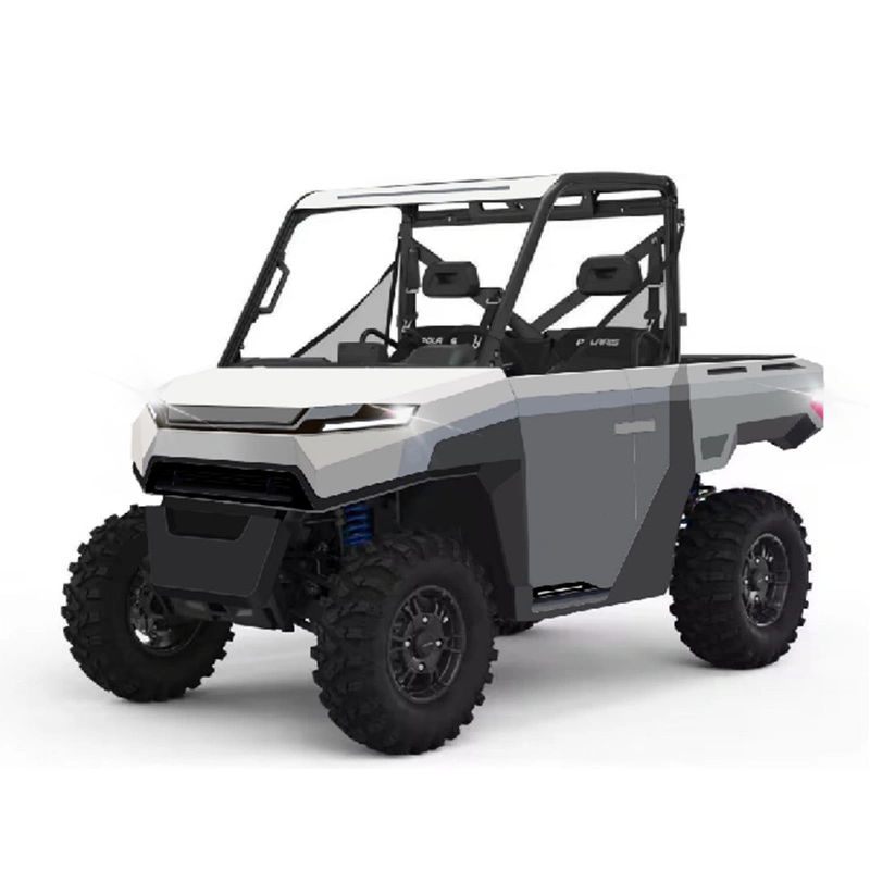 Durable off Road All-Terrian UTV-A3 Electric Utility Vehicle
